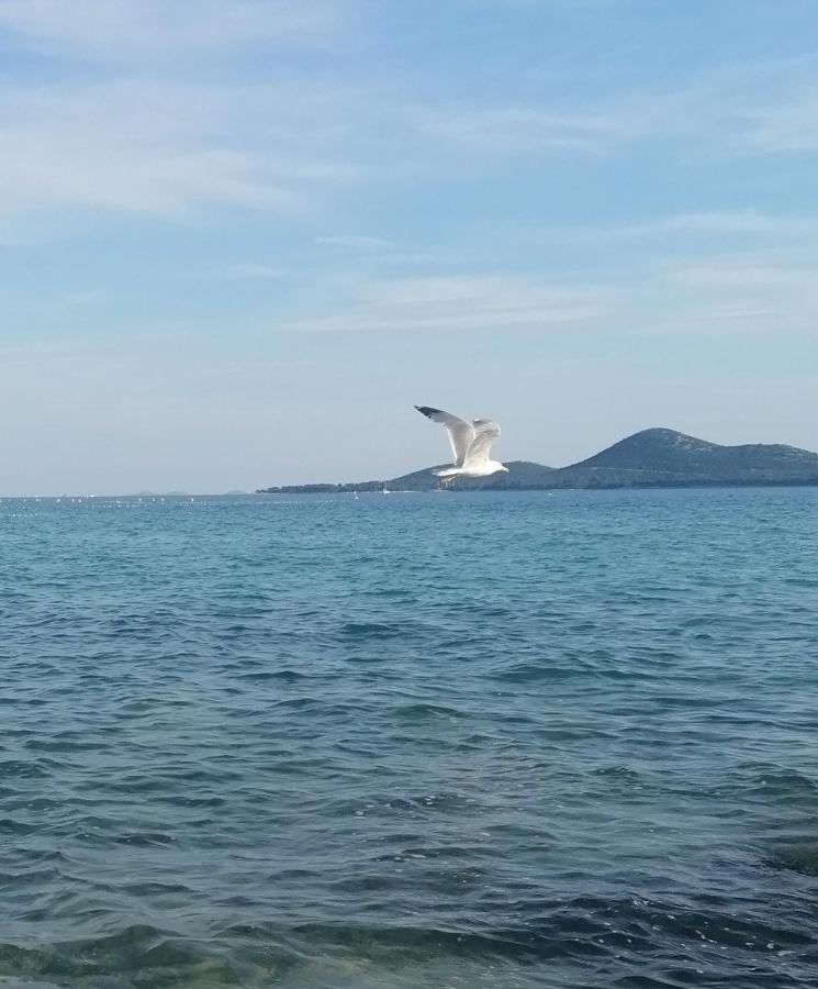 Peponi Del Mar II Hotel Biograd Na Moru Exterior foto